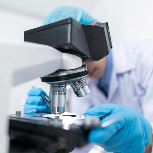Técnicos Especialistas